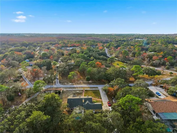a view of a swimming pool with a yard and large trees