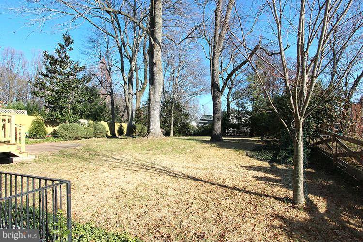 8817 Walnut Hill Road Chevy Chase, MD 20815 - Photo 24 of 26 a view of road with trees