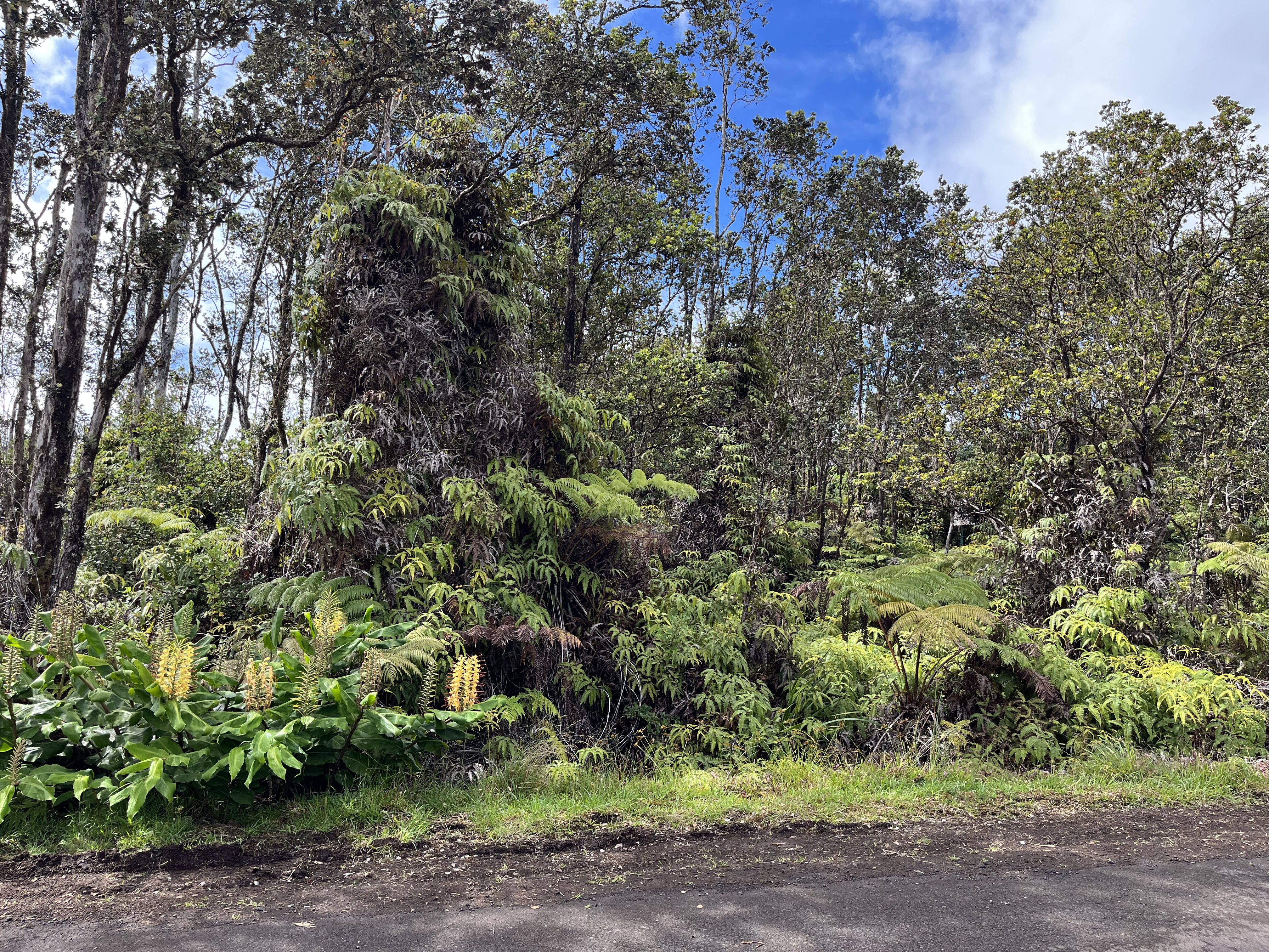2133 Mokuna Street Volcano, HI 96785 - Photo 6 of 6