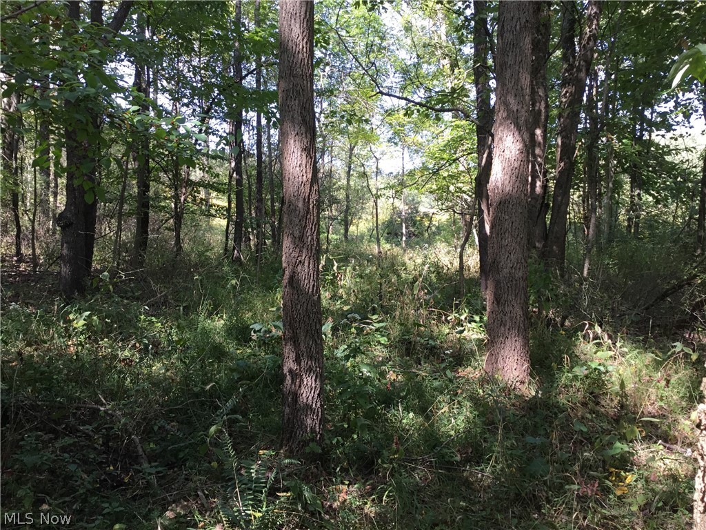 Stony Point Road Dover, OH 44622 - Photo 15 of 19 Gallery Image 15