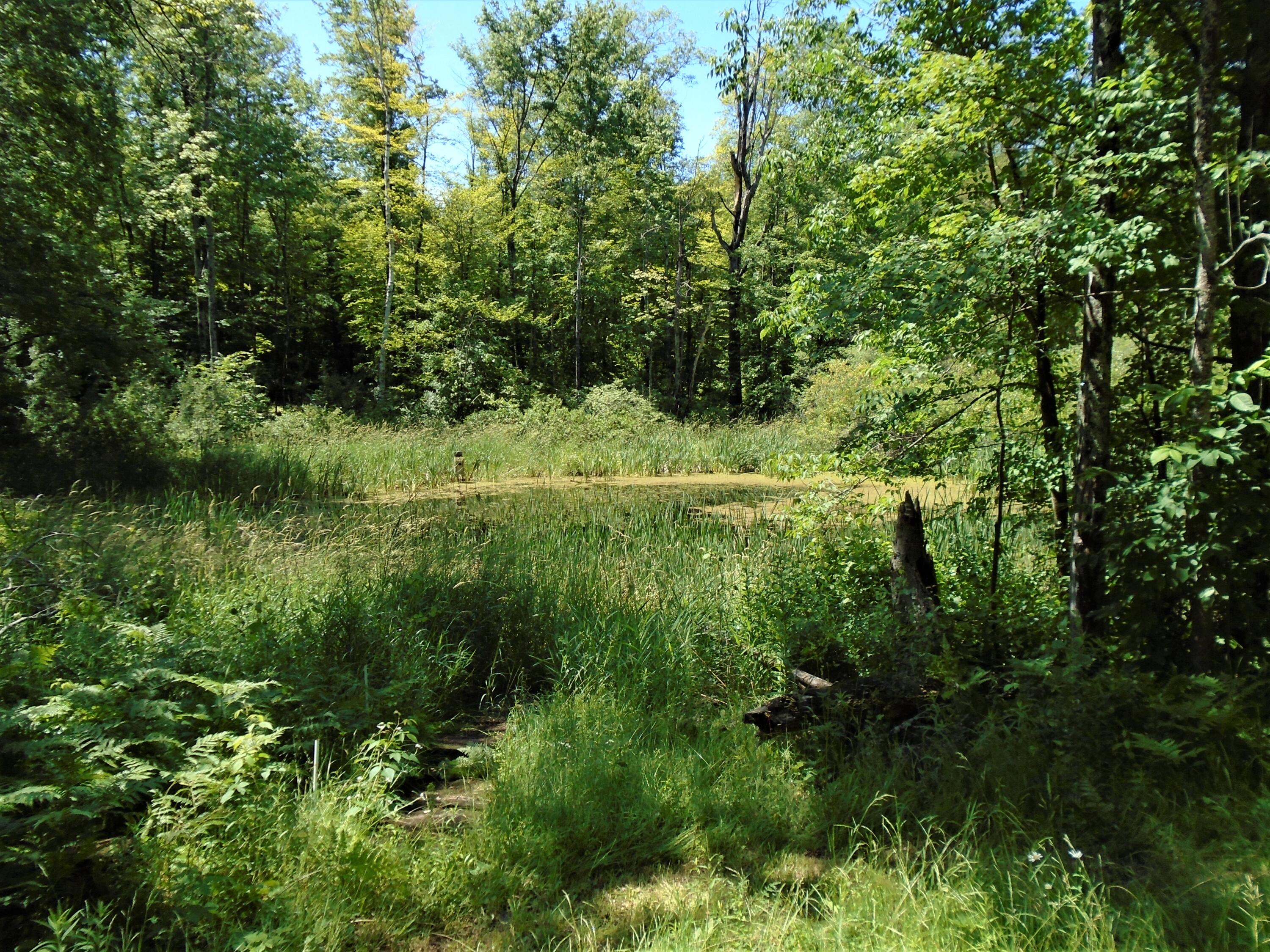 2345 Mishler Road Mio, MI 48647 - Photo 42 of 47 Gallery Image 42