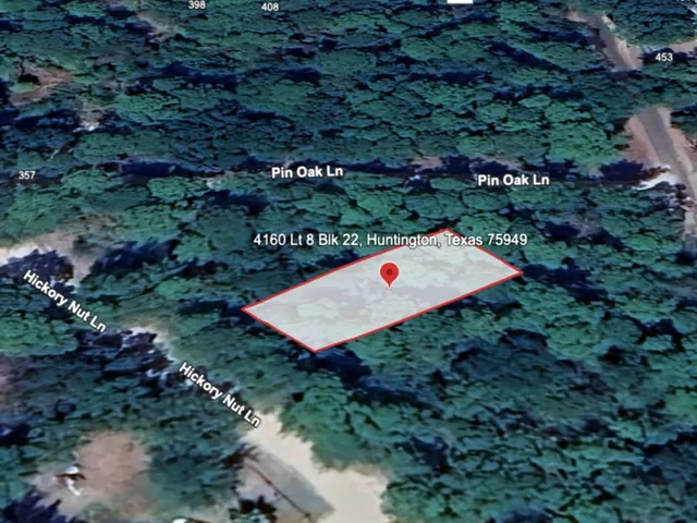 a view of a tree with a yard