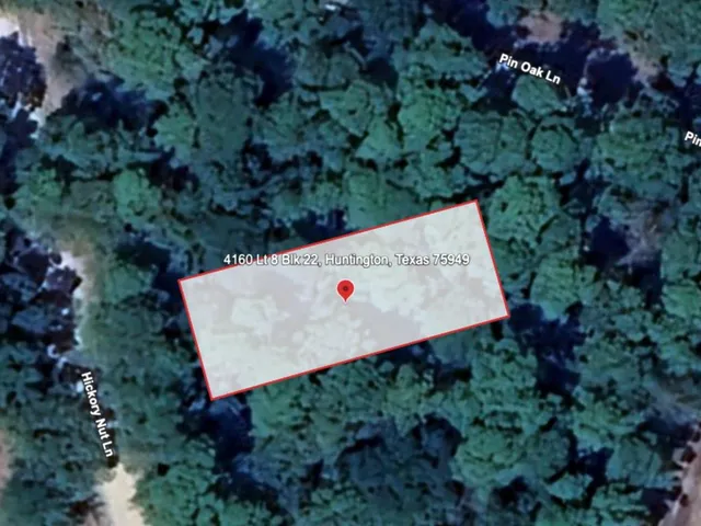 a view of a tree in a yard