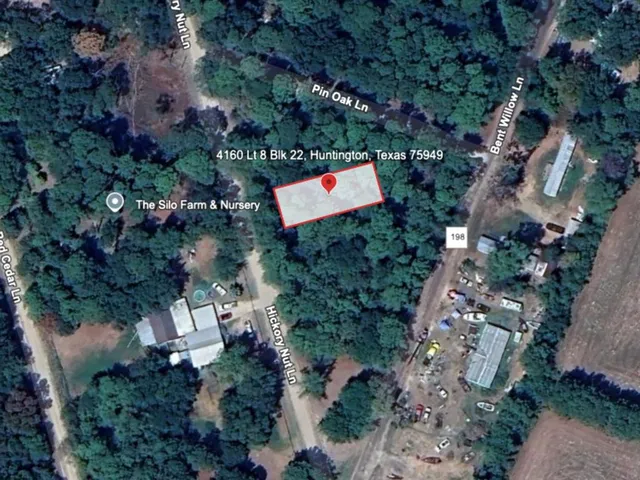 an aerial view of a house with a yard and tree s