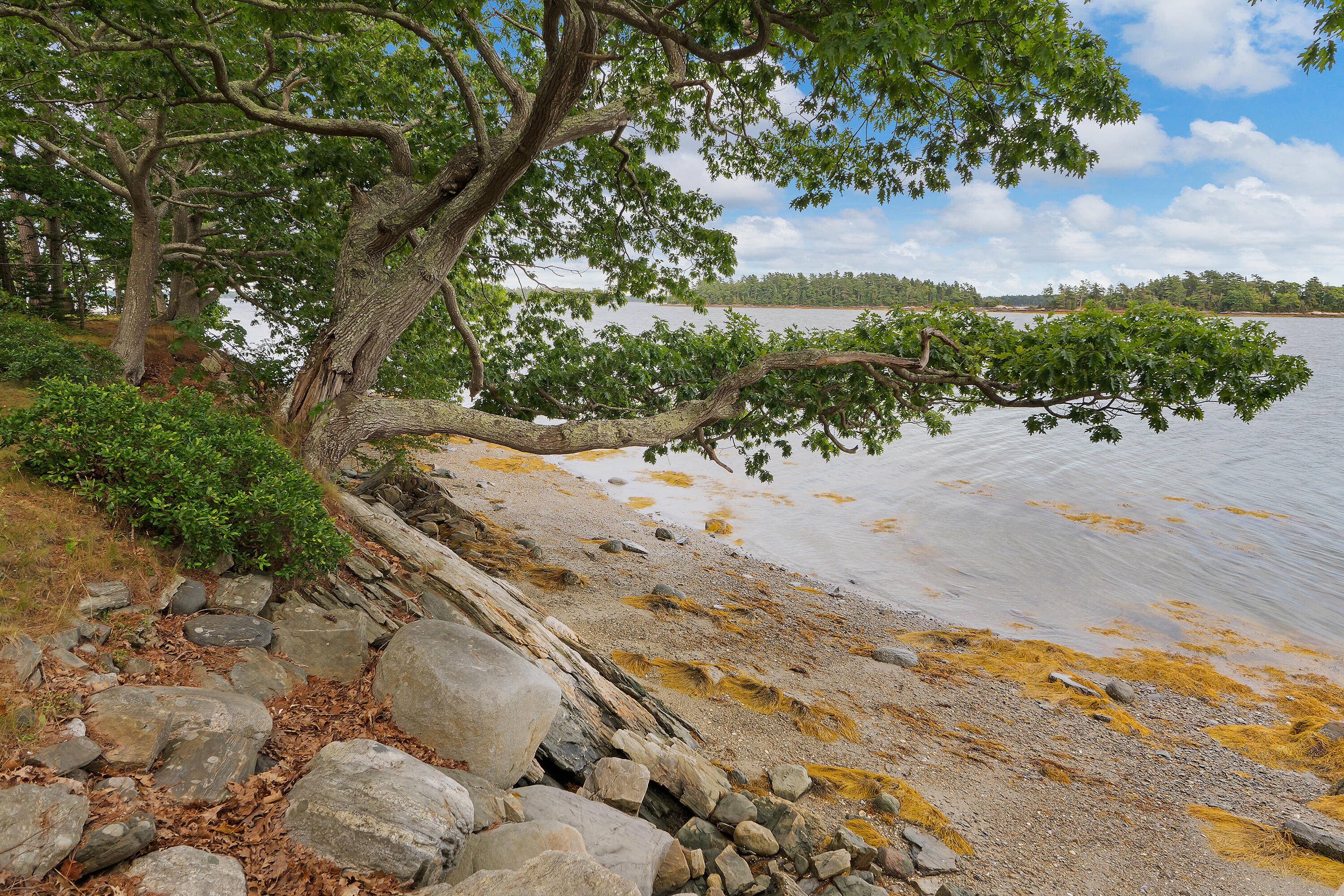 71 Merganser Way Freeport, ME 04032 - Photo 59 of 87 71 Merganser Way_170