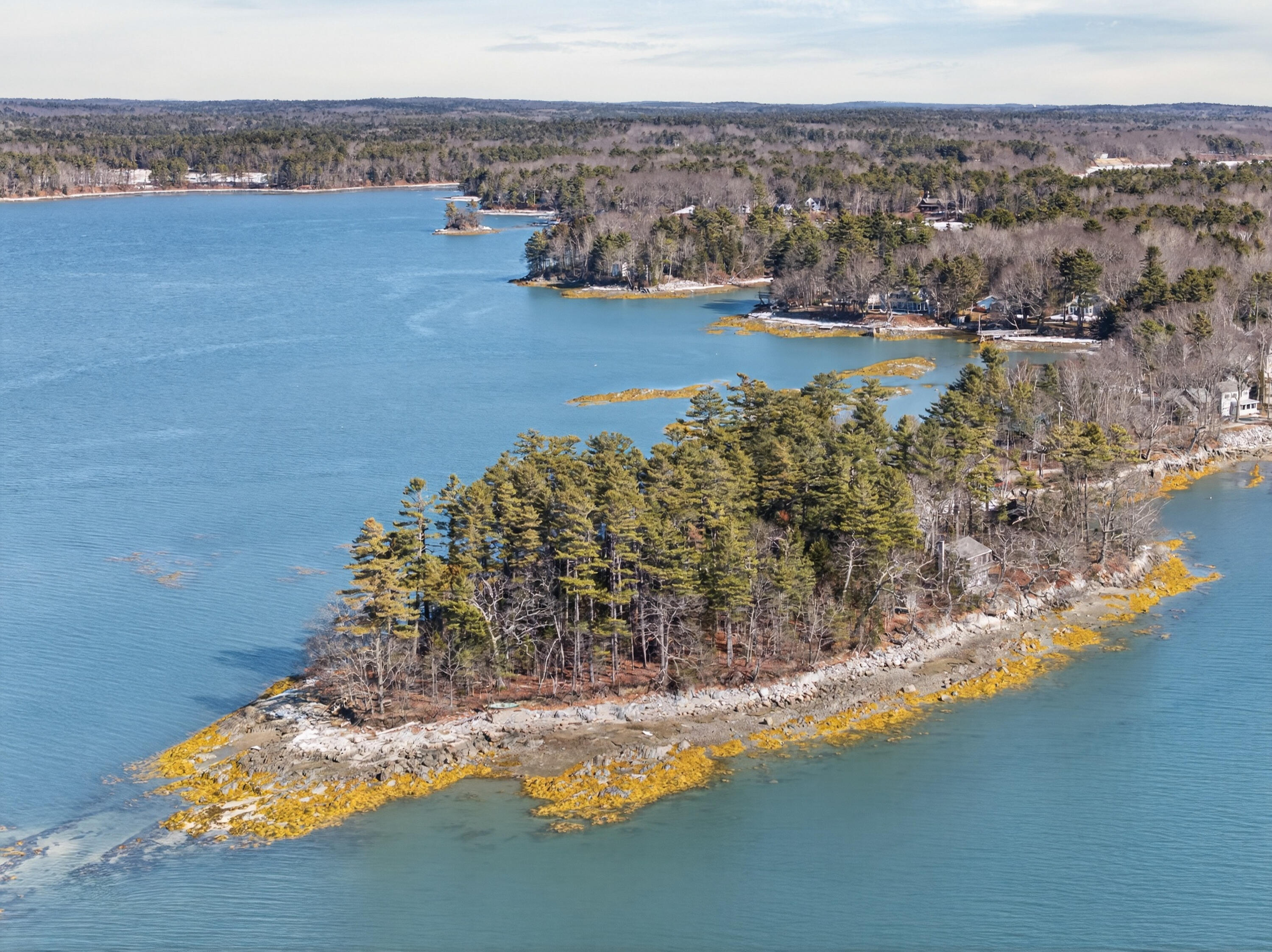 71 Merganser Way Freeport, ME 04032 - Photo 7 of 87 71 Merganser Way_0241