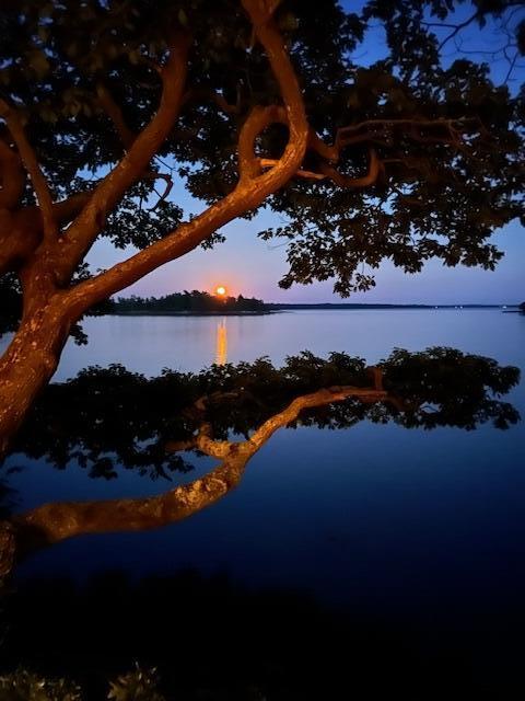 71 Merganser Way Freeport, ME 04032 - Photo 76 of 77 moon rise