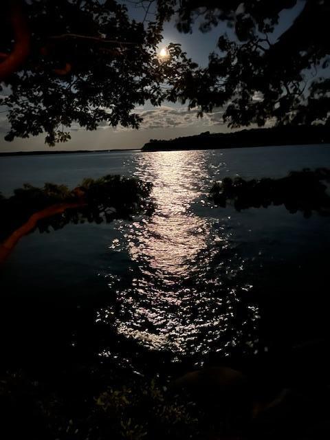 71 Merganser Way Freeport, ME 04032 - Photo 77 of 77 Moon