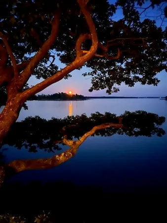 $995,000 | 71 Merganser Way, Freeport, ME 04032