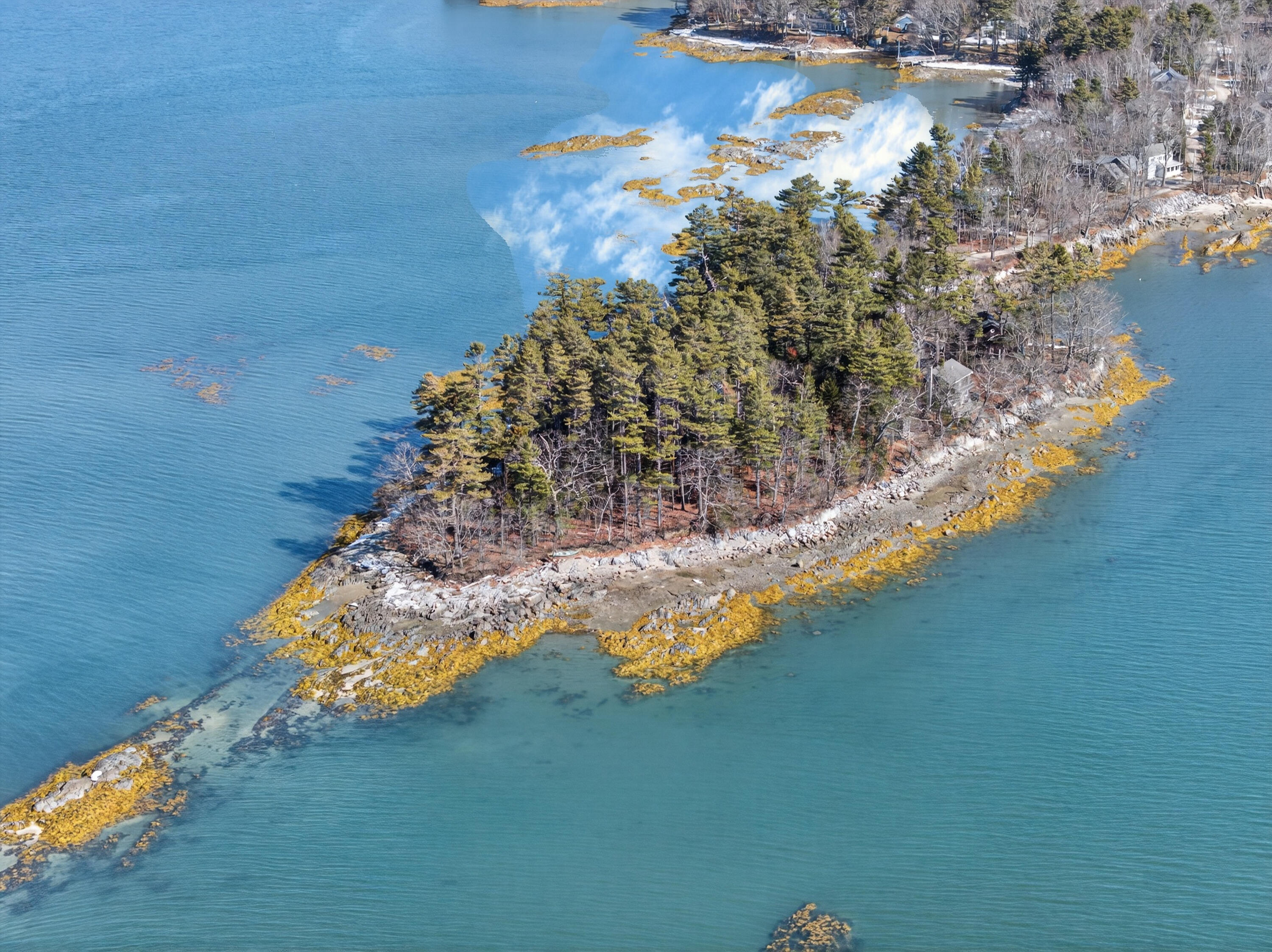 71 Merganser Way Freeport, ME 04032 - Photo 94 of 105 71 Merganser Way_0240