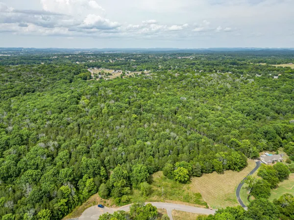 a view of a city with lush green forest