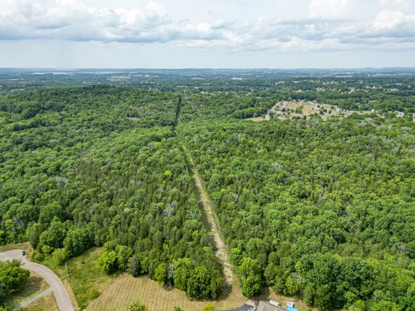 a view of a city with lush green forest
