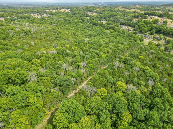a view of a green field
