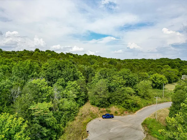 a view of a bunch of trees