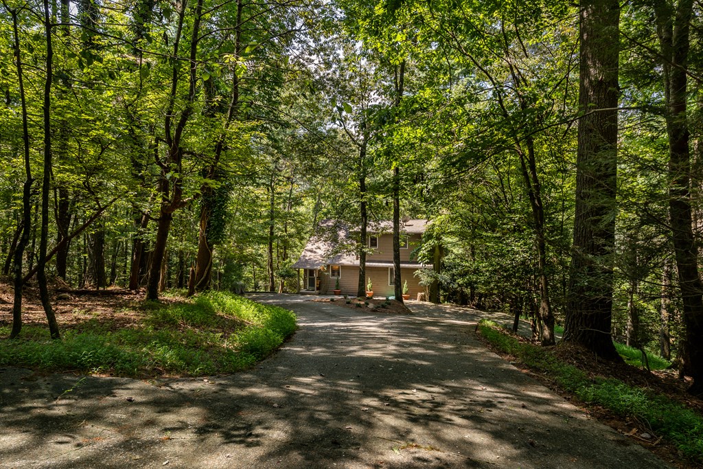 263 Indian Cave Road Ellijay, GA 30536 - Photo 42 of 50