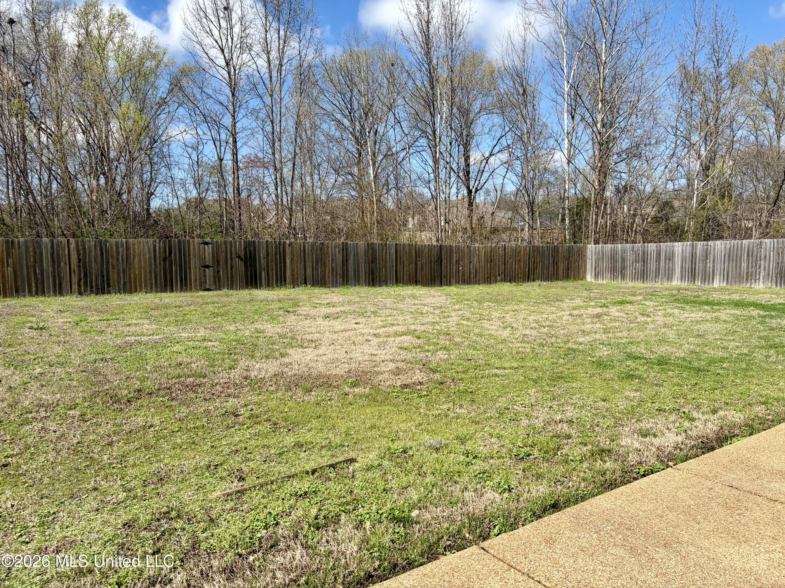 1657 Carlee Drive Hernando, MS 38632 - Photo 31 of 31 Back yard - blank canvas