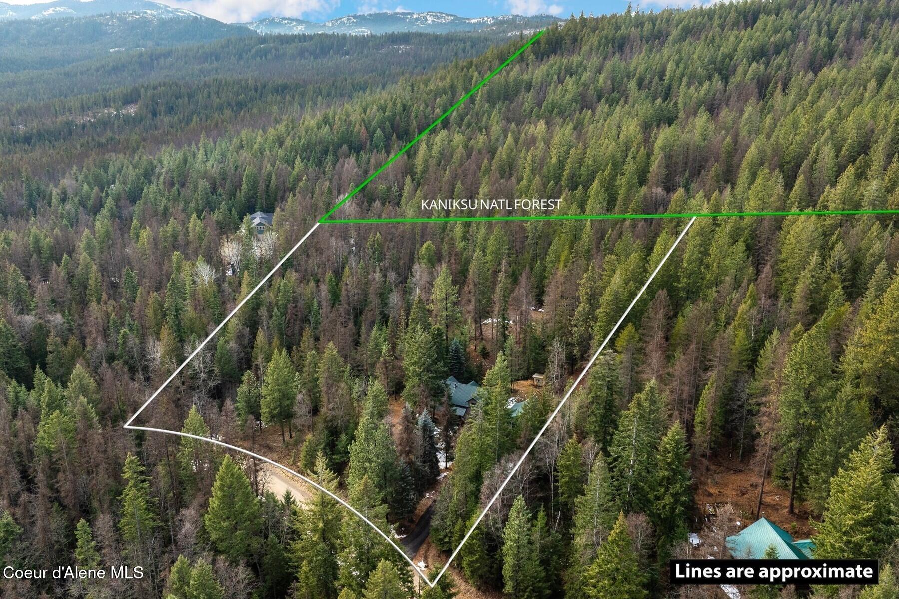 774 Mountain Creek Road Sandpoint, ID 83864 - Photo 3 of 64 03