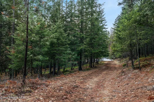 $799,000 | 774 Mountain Creek Road, Sandpoint, ID 83864