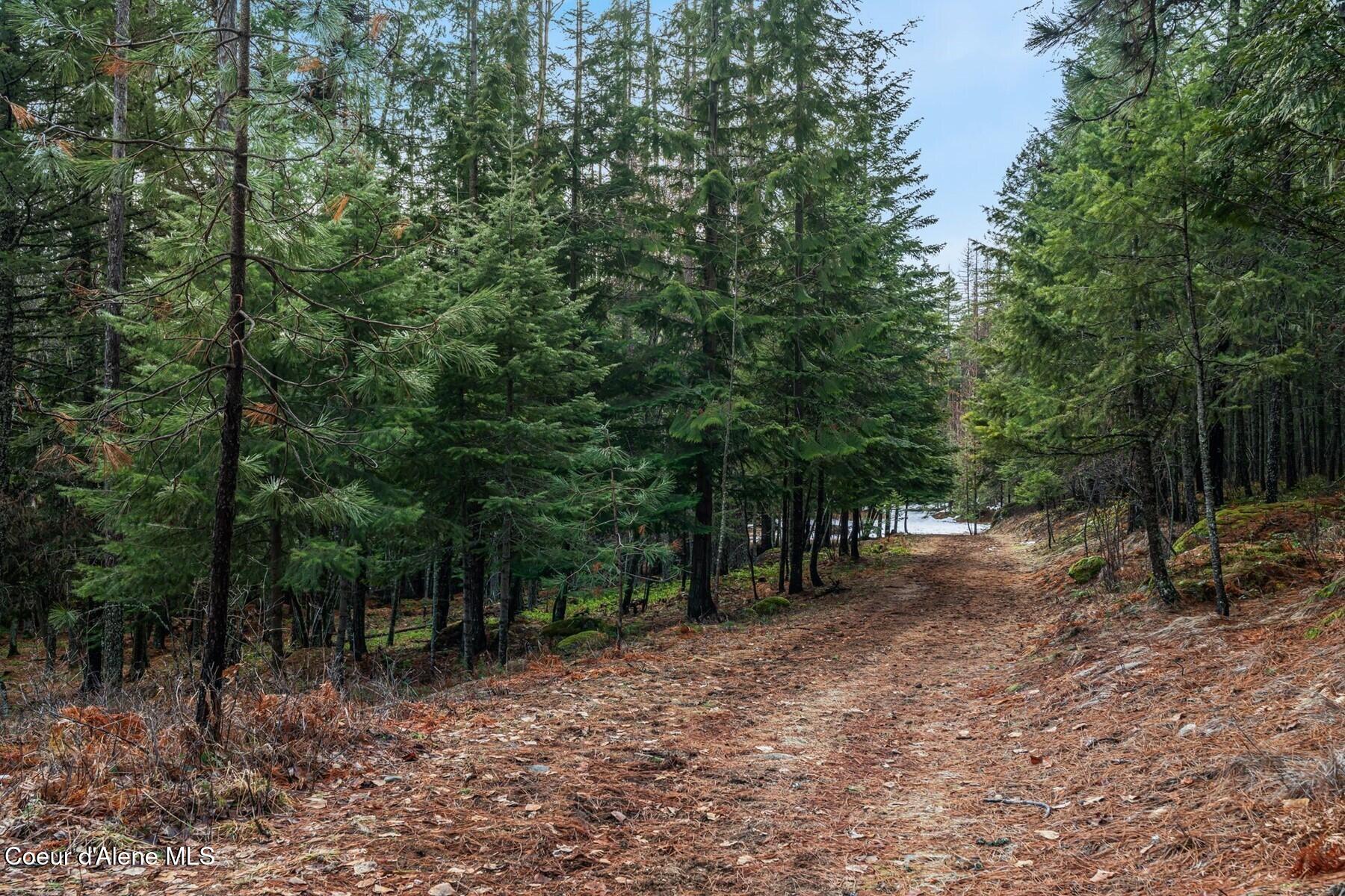 774 Mountain Creek Road Sandpoint, ID 83864 - Photo 53 of 64 61_A7401274