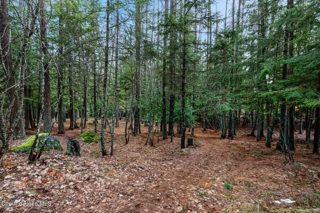 $799,000 | 774 Mountain Creek Road, Sandpoint, ID 83864