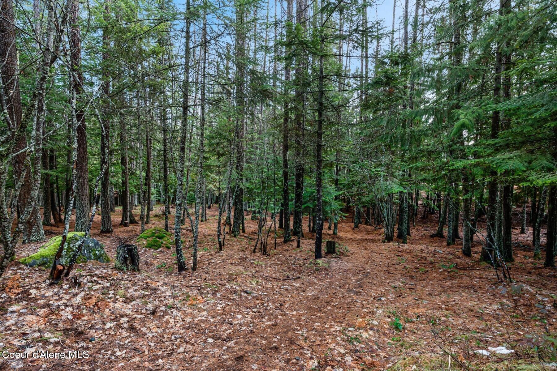 774 Mountain Creek Road Sandpoint, ID 83864 - Photo 54 of 64 62_A7401279