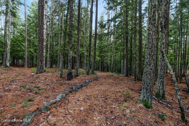 $799,000 | 774 Mountain Creek Road, Sandpoint, ID 83864