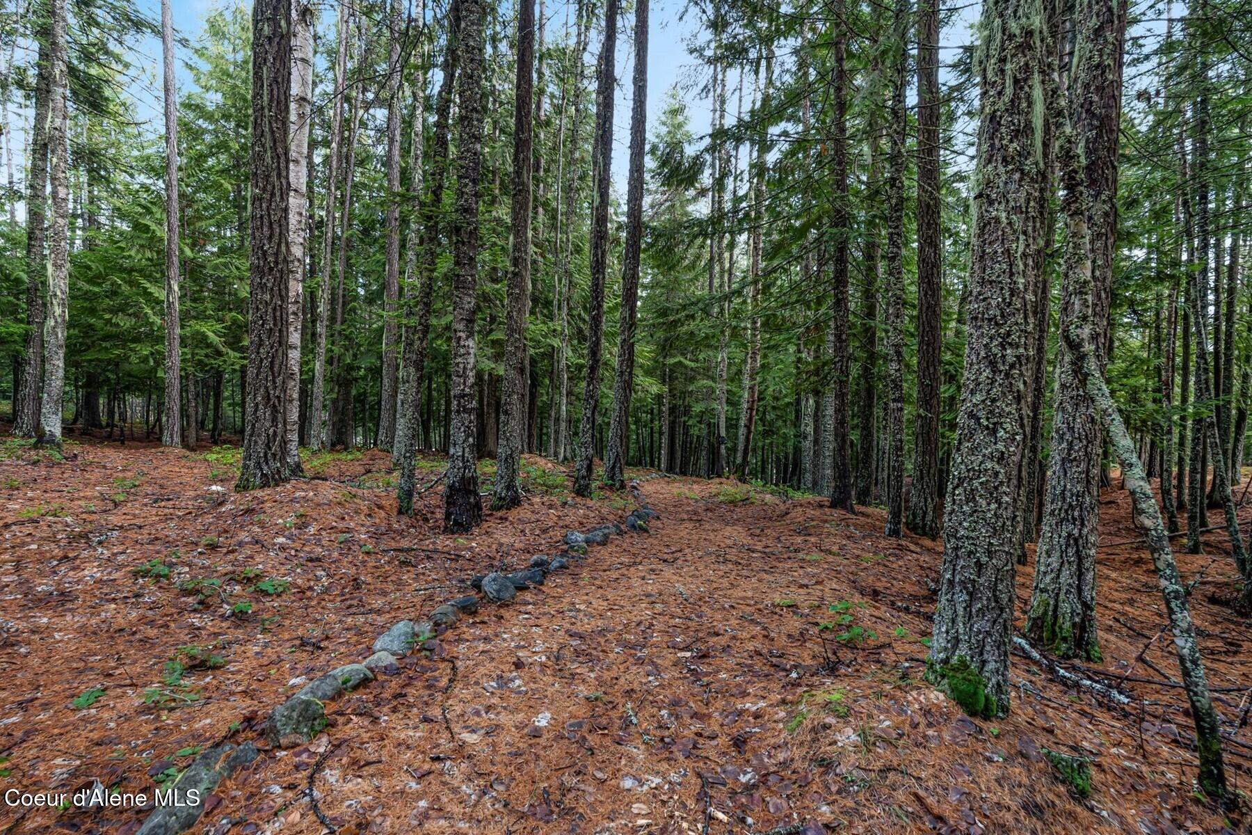 774 Mountain Creek Road Sandpoint, ID 83864 - Photo 56 of 64 66_A7401284