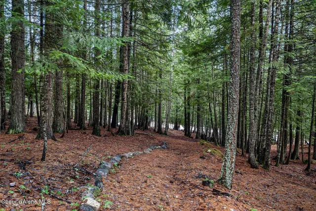 $799,000 | 774 Mountain Creek Road, Sandpoint, ID 83864