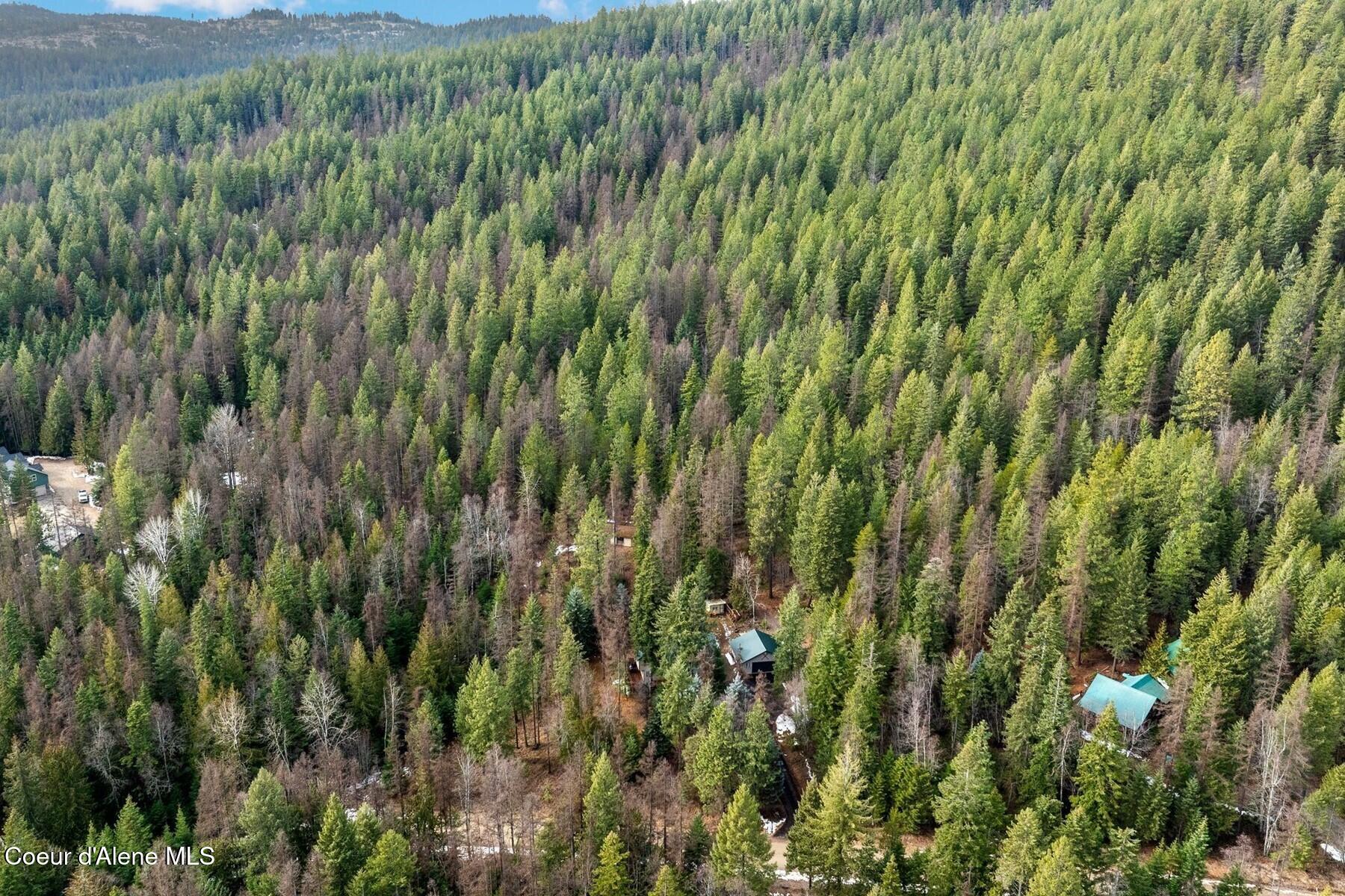 774 Mountain Creek Road Sandpoint, ID 83864 - Photo 60 of 64 69_DJI_20260205050057_0787_D