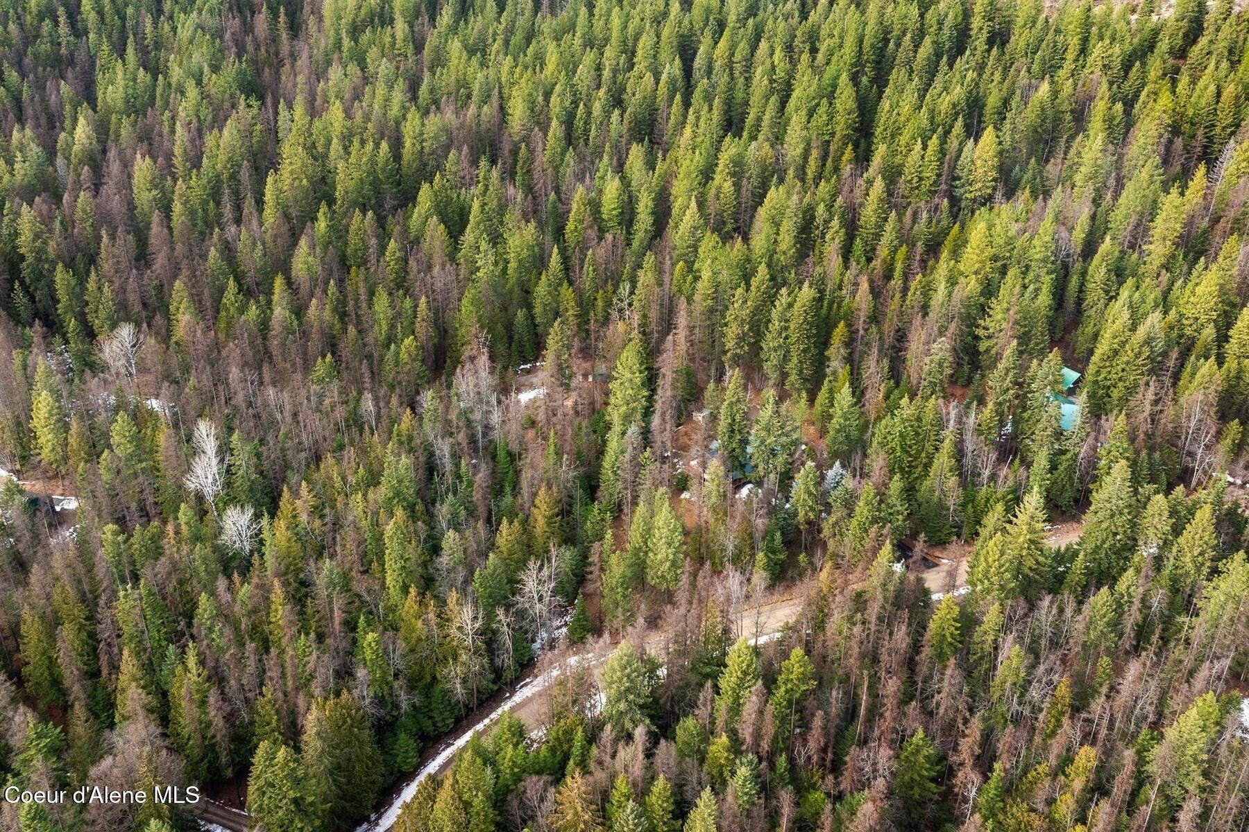 774 Mountain Creek Road Sandpoint, ID 83864 - Photo 61 of 64 70_DJI_20260205050150_0797_D