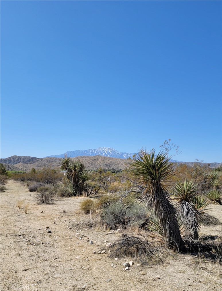 a view of beach and mountain