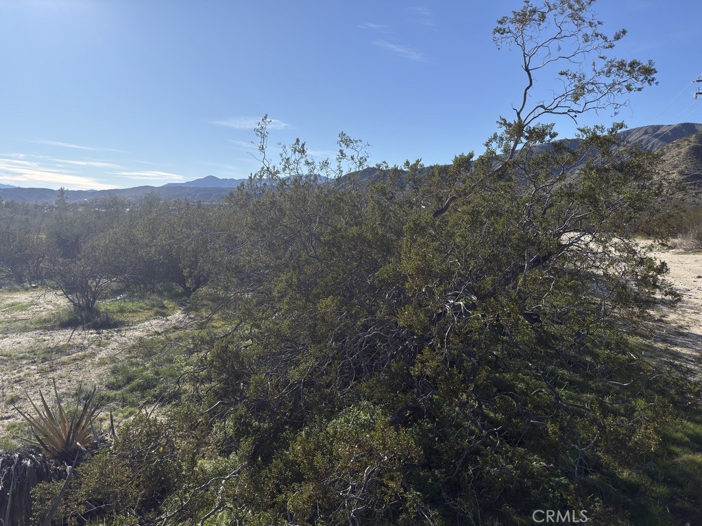 0 Palo Verde Road Morongo Valley, CA 92256 - Photo 14 of 16 a view of a mountain