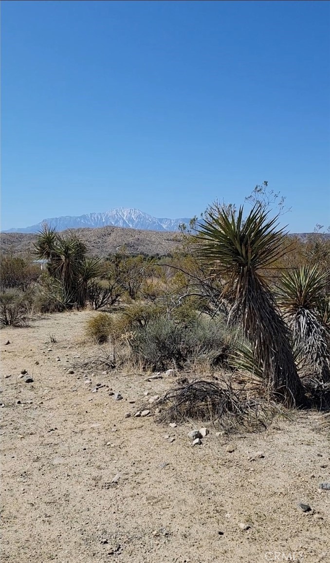 0 Palo Verde Road Morongo Valley, CA 92256 - Photo 2 of 16 a view of a beach with a mountain view