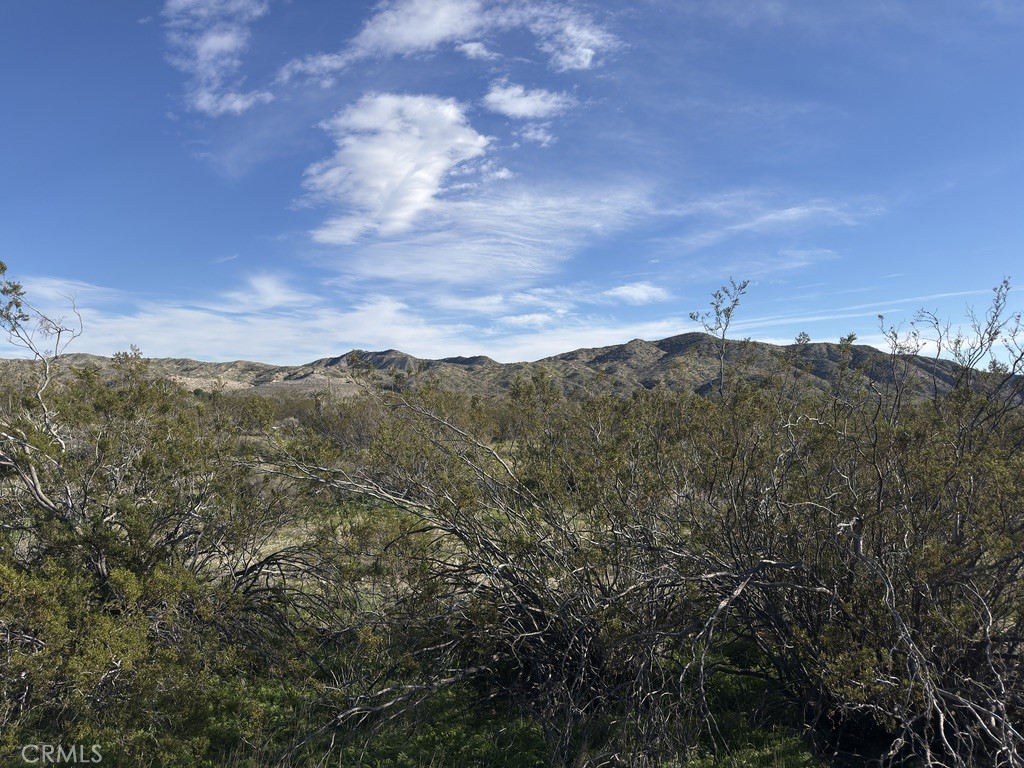 0 Palo Verde Road Morongo Valley, CA 92256 - Photo 3 of 16 a view of a city