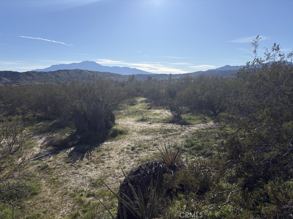 0 Palo Verde Road Morongo Valley, CA 92256 - Photo 7 of 14 a view of a yard with a mountain