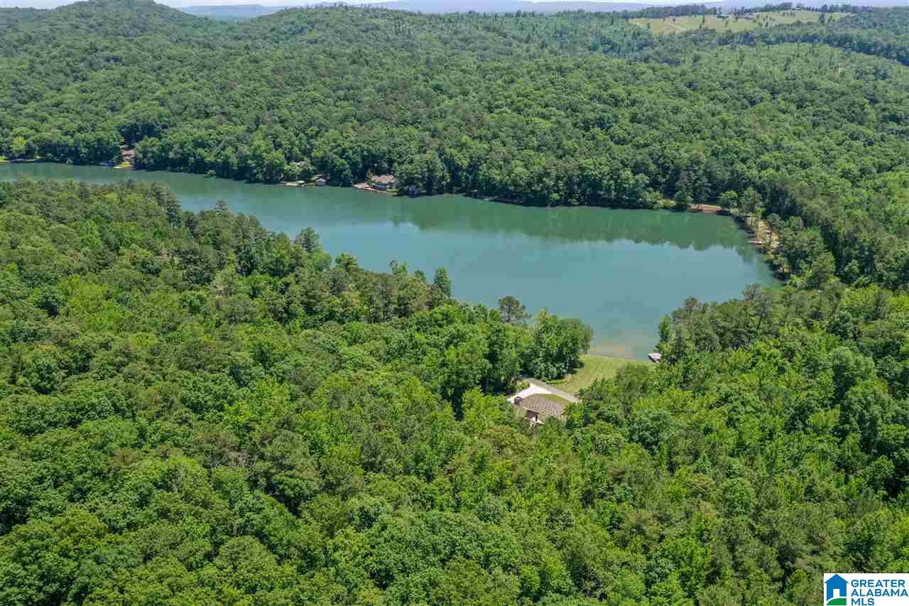 7777 Lake In The Woods Road Trussville, AL 35173 - Photo 2 of 50