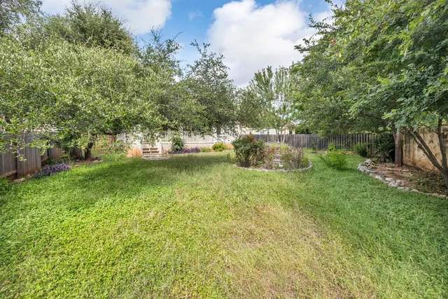 a view of a garden with plants and large trees