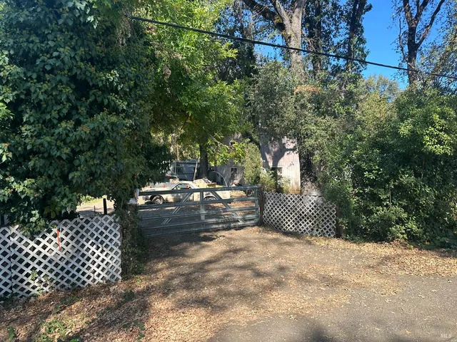 a view of a yard with plants and trees