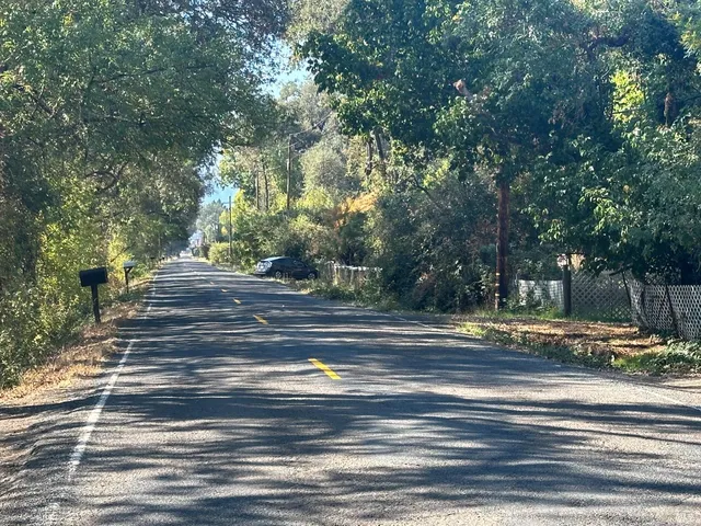 a view of yard with tree s