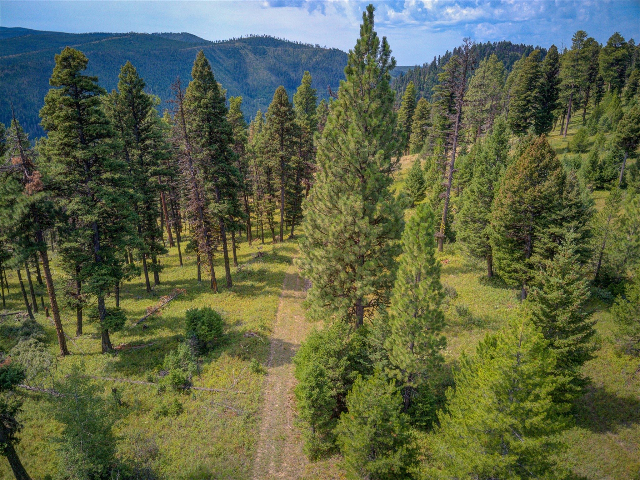 2 2 Bear Springs Road Lincoln, MT 59639 - Photo 51 of 55 Gallery Image 51