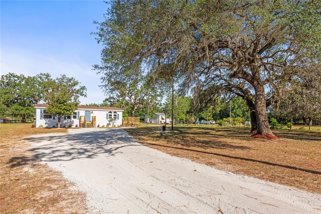 a view of a yard with plants and trees