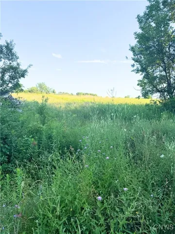 $230,000 | Tassell Hill Road South, Waterville, NY 13480