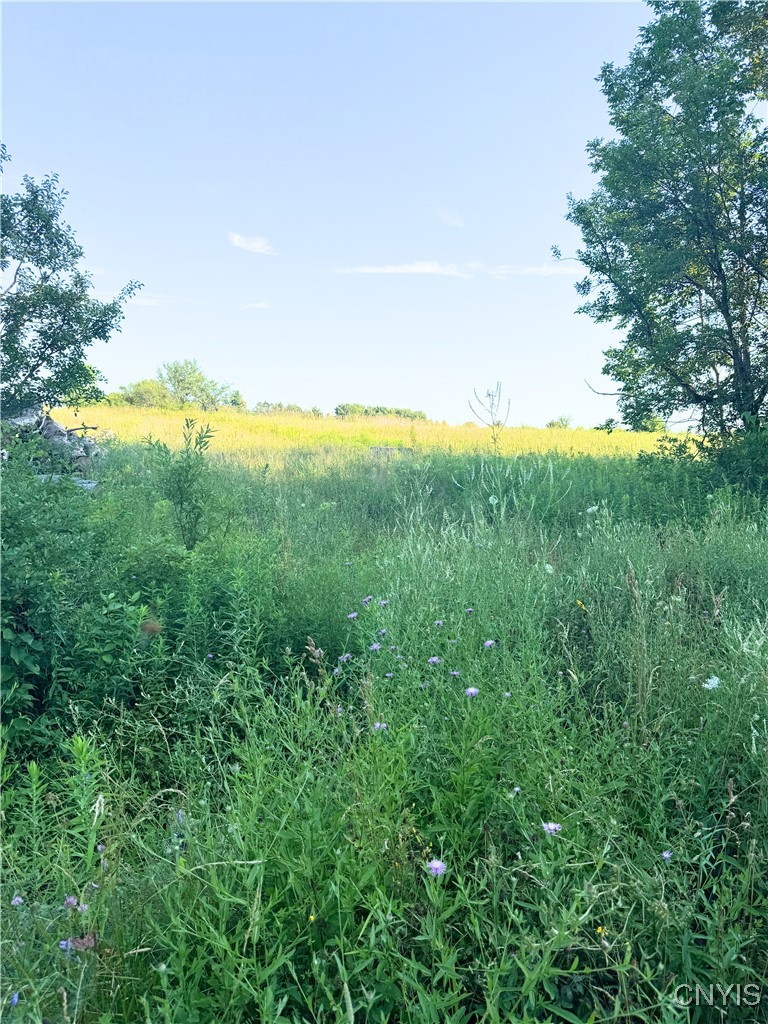 Tassell Hill Road South Waterville, NY 13480 - Photo 2 of 5