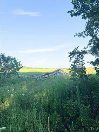$199,000 | Tassell Hill Road South, Waterville, NY 13480