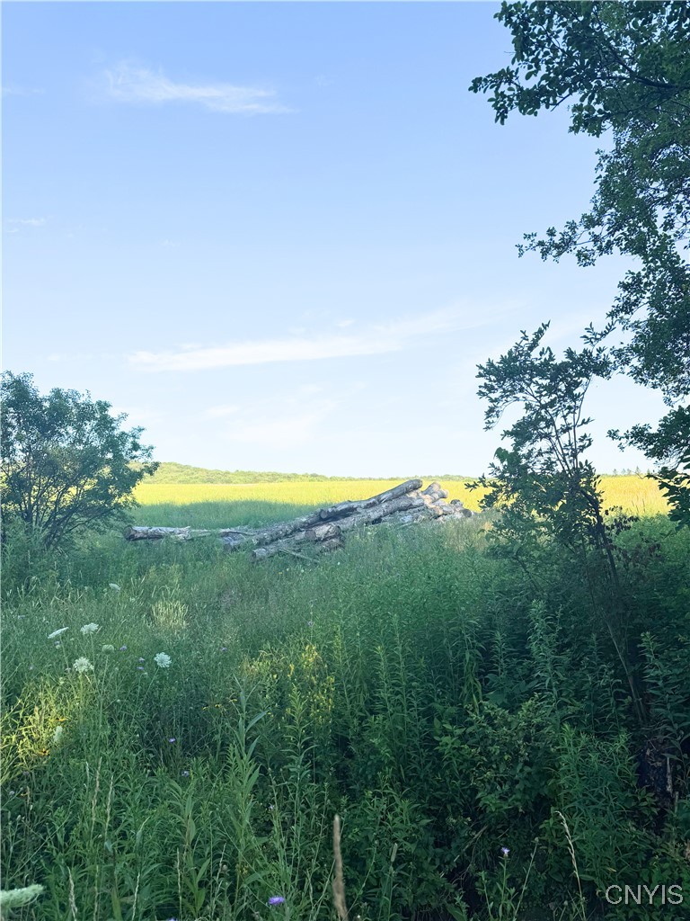 Tassell Hill Road South Waterville, NY 13480 - Photo 4 of 5