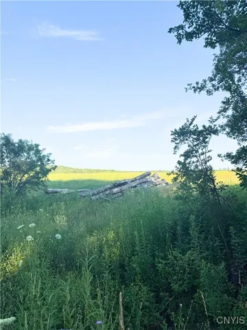 $230,000 | Tassell Hill Road South, Waterville, NY 13480