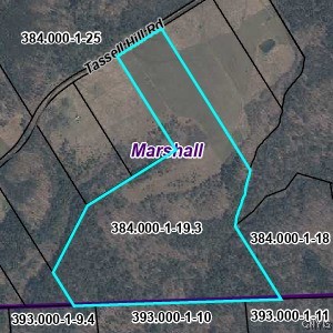 Tassell Hill Road South Waterville, NY 13480 - Photo 5 of 5