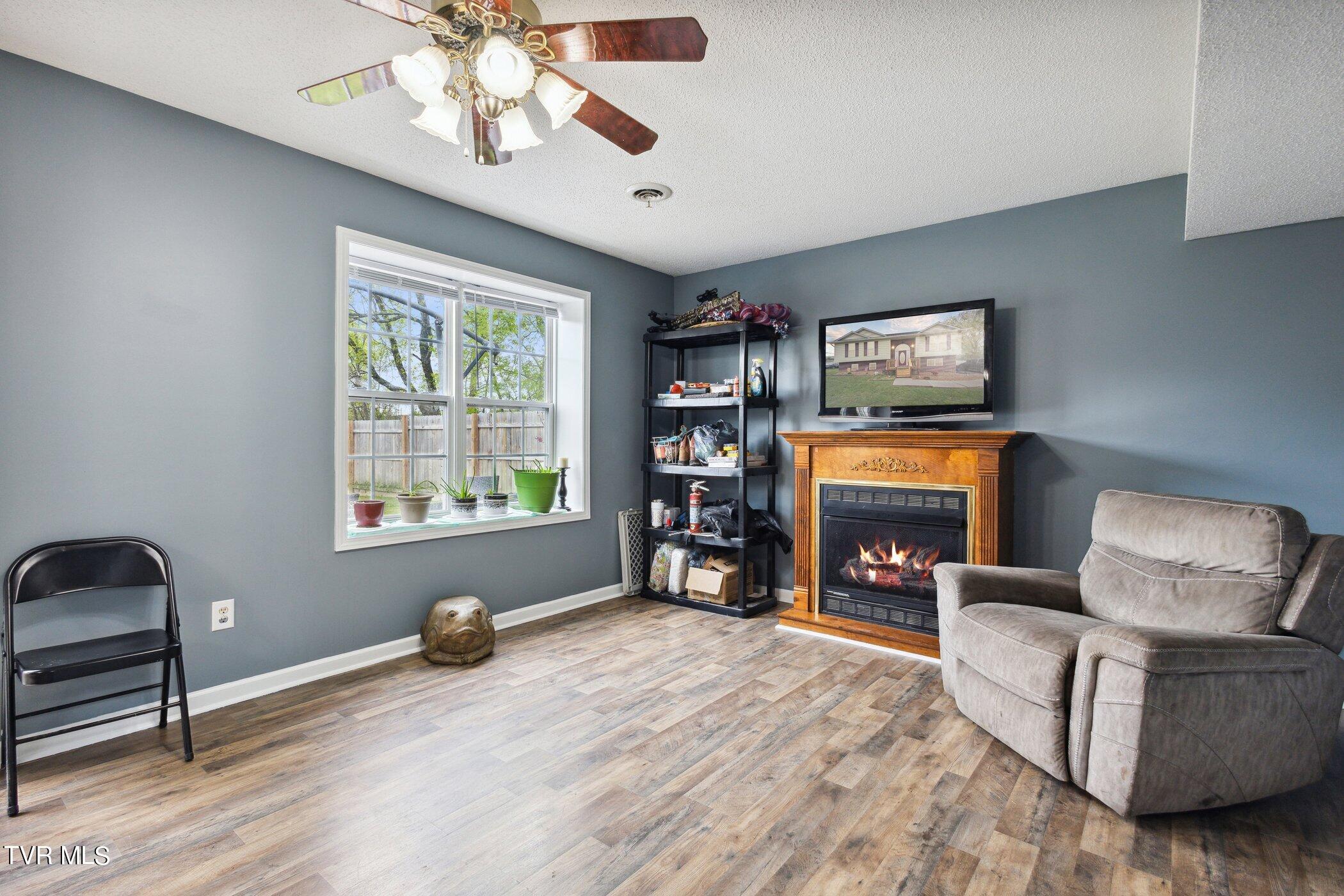 655 McInturff Road Telford, TN 37690 - Photo 29 of 38 655-McInturff-Rd-WindowStill-13