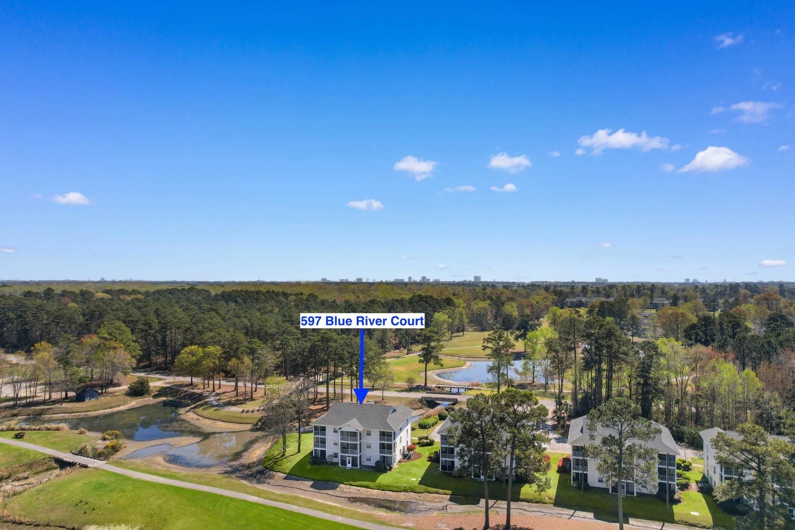 597 Blue River Court, Unit H2 Myrtle Beach, SC 29579 - Photo 5 of 24