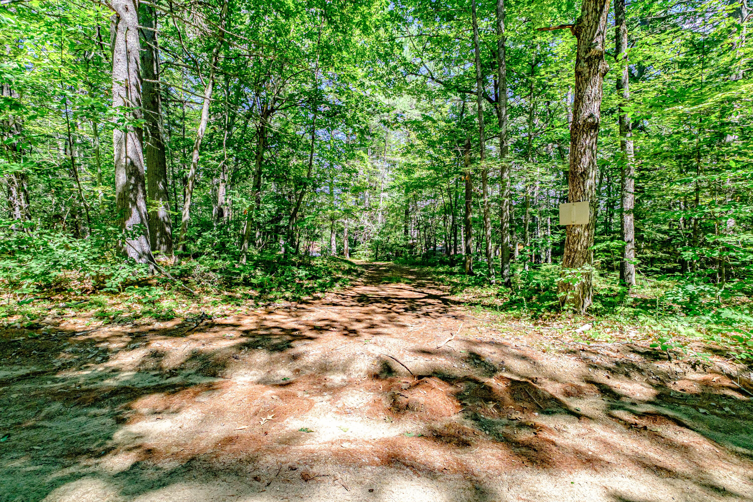 186 Old County Road Oxford, ME 04270 - Photo 2 of 41 20220812gp-62001